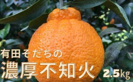 【先行予約】有田育ちの濃厚不知火(ご家庭用)(通称デコポン)　約2.5kg【ard020B】
