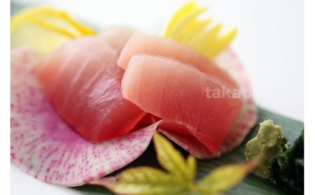 生鮪 鮪 マグロ 生まぐろ キハダマグロ ビンチョウマグロ 刺身 天然生まぐろ食べ比べセット 500g キハダ（もしくはメバチ）＋びん長まぐろのセット【tka019】  和歌山県新宮市 ふるさと納税サイト「ふるなび」