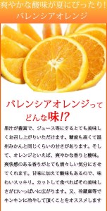 秀品　希少な国産バレンシアオレンジ　2.5kg　※2024年6月下旬頃～7月上旬頃順次発送（お届け日指定不可）【uot752】