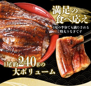 鰻 うなぎ うなぎの蒲焼 炭火焼き 炭火 / 1尾で約240gのビッグサイズ うなぎ蒲焼 2尾 計約480g （タレ・山椒付き） 中国産 【nks700A】