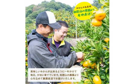 【果汁たっぷり】迫力満点! 大粒 有田みかん 2.9kg+200g【2025年11月中旬~12月下旬順次発送予定】【ard054C】