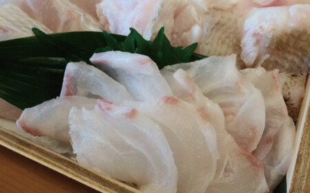 高級 海鮮 お魚 魚 くえ鍋 クエ鍋 くえ くえ天然 冷凍 海産物 / 【冷凍】天然 最高級クエ 20kg 以上 クエ鍋セット 4人前 ...