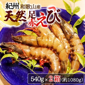 紀州和歌山産天然足赤えび540g×2箱（270g×4パック）化粧箱入 ※2025年11月末頃〜2026年1月下旬頃順次発送予定（お届け日指定不可）／海老 エビ えび クマエビ天然【uot773A】