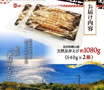 紀州和歌山産天然足赤えび540g×2箱（270g×4パック）化粧箱入 ※2025年11月末頃〜2026年1月下旬頃順次発送予定（お届け日指定不可）／海老 エビ えび クマエビ天然【uot773A】