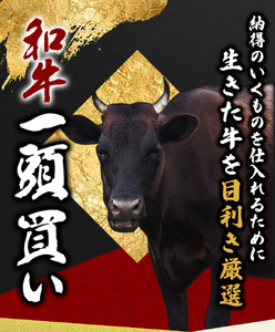 尾呂志屋精肉店の和牛 すじ肉 500g 【1か月以内に順次発送】 /  和牛 すじにく すじ肉 スジ肉 牛肉 牛 精肉 【ors007】