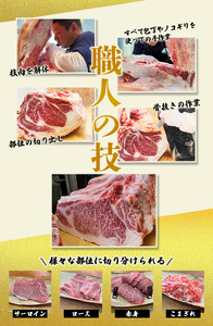 尾呂志屋精肉店の和牛 すじ肉 500g 【1か月以内に順次発送】 /  和牛 すじにく すじ肉 スジ肉 牛肉 牛 精肉 【ors007】