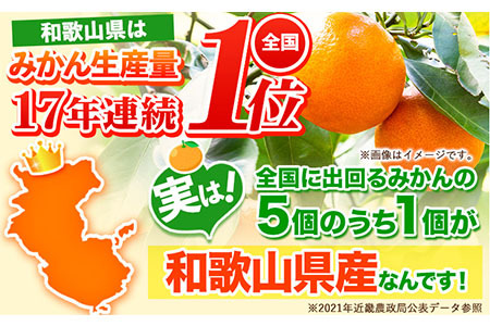 【先行予約】【訳あり】サイズ不選別 和歌山みかん 約5kg 和歌山県産 《2024年11月中旬-1月中旬頃出荷》｜たっぷり ご家庭用 2L～2S 産地直送 みかん 旬 蜜柑 ミカン 柑橘 果物 フルーツ 和歌山県 紀の川市みかん わけありみかんみかんみかんみかんみかんみかんみかんみかんみかんみかんみかんみかんみかんみかんみかんみかんみかんみかんみかんみかんみかんみかんみかんみかんみかんみかんみかんみかんみかんみかんみかんみかんみかんみかんみかんみかんみかんみかんみかんみかんみかんみかんみかんみかんみかんみかんみかんみかんみかんみかんみかんみかんみかんみかんみかんみかんみかんみかんみかんみかんみかんみかんみかんみかんみかんみかんみかんみかんみかんみかんみかんみかんみかんみかんみかんみかんみかんみかんみかんみかんみかんみかんみかんみかんみかんみかんみかんみかんみかんみかんみかんみかんみかんみかんみかんみかんみかんみかんみかんみかんみかんみかんみかんみかんみかんみかんみかんみかんみかんみかんみかんみかんみかんみかんみかんみかんみかんみかんみかんみかんみかんみかんみかんみかんみかんみかんみかんみかんみかんみかんみかんみかんみかんみかんみかんみかんみかんみかんみかんみかんみかんみかんみかんみかんみかんみかんみかんみかんみかんみかんみかんみかんみかんみかんみかんみかんみかんみかんみかんみかんみかんみかんみかんみかんみかんみかんみかんみかんみかんみかんみかんみかんみかんみかんみかんみかんみかんみかんみかんみかんみかんみかんみかんみかんみかんみかんみかんみかんみかんみかんみかんみかんみかんみかんみかんみかんみかんみかんみかんみかんみかんみかんみかんみかんみかんみかんみかんみかんみかんみかんみかんみかんみかんみかんみかんみかんみかんみかんみかんみかんみかんみかんみかんみかんみかんみかんみかんみかんみかんみかんみかんみかんみかんみかんみかんみかんみかんみかんみかんみかんみかんみかんみかんみかんみかんみかんみかんみかんみかんみかんみかんみかんみかんみかんみかんみかんみかんみかんみかんみかんみかんみかんみかんみかんみかんみかんみかんみかんみかんみかんみかんみかんみかんみかんみかんみかんみかんみかんみかんみかんみかんみかんみかんみかんみかんみかんみかんみかん