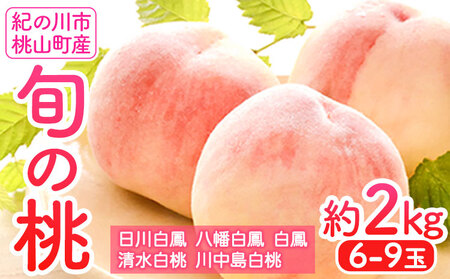 【先行予約】桃 約2kg（6-9玉） 岸武青果株式会社《2026年6月下旬-8月末頃出荷》｜桃 もも モモ フルーツ 果物 白鳳 清水白桃 川中島白桃  和歌山県産の桃 紀の川市の桃 和歌山の桃