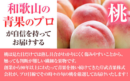 訳あり 和歌山の桃 約2kg (約6~9玉入) 岸武青果株式会社《2025年6月下旬-8月末頃出荷》｜桃 もも モモ フルーツ 果物 白鳳 清水白桃 川中島白桃  和歌山県産の桃 紀の川市の桃 和歌山の桃