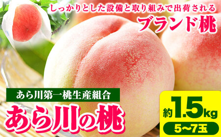 【先行予約】あら川の桃 約1.5kg (5-7玉) あら川第一桃生産組合《2026年6月下旬から8月下旬頃出荷》｜桃 もも モモ フルーツ 果物 白鳳 清水白桃 川中島白桃  和歌山県産の桃 紀の川市の桃 和歌山の桃