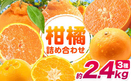 みかん 柑橘 詰め合わせ セット 約 2.4kg (約800g×3袋) 計3種入り《2月上旬-3月末頃出荷》和歌山県 紀の川市 ミカン 柑橘類 せとか 不知火 はるみ フルーツ 果物