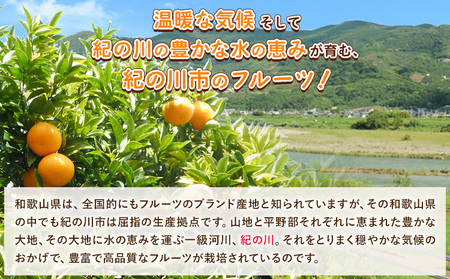 みかん 柑橘 詰め合わせ セット 約 2.4kg (約800g×3袋) 計3種入り《2月上旬-3月末頃出荷》和歌山県 紀の川市 ミカン 柑橘類 せとか 不知火 はるみ フルーツ 果物