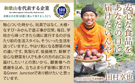 和歌山県産の桃 約900g (3玉入り) GREEN JUNCTION株式会社《2025年6月中旬-2025年8月末頃出荷》和歌山県 紀の川市 桃 果物 果実 フルーツ 自然栽培 送料無料