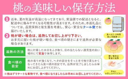 和歌山県産の桃 約900g (3玉入り) GREEN JUNCTION株式会社《2025年6月中旬-2025年8月末頃出荷》和歌山県 紀の川市 桃 果物 果実 フルーツ 自然栽培 送料無料