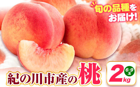 【先行予約】桃 紀の川市産 約2kg(6-9玉) 紀農人株式会社《2026年6月上旬-8月中旬頃出荷》和歌山県 紀の川市 果物 フルーツ 桃 もも モモ 旬