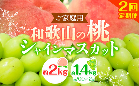 【2回定期便】【ご家庭用 訳あり】和歌山の桃 約2kg (6玉~8玉) 大粒 シャインマスカット 約1.4kg (約700g×2房) m&n果実園 《2026年6月中旬-10月上旬頃出荷》和歌山県 紀の川市 送料無料 桃 旬 果物 フルーツ【配送不可地域あり】
