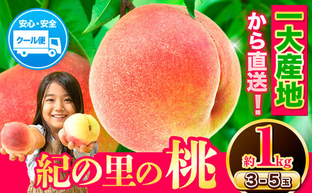 桃 紀の里の桃 約1kg(6月中旬-8月中旬頃出荷)