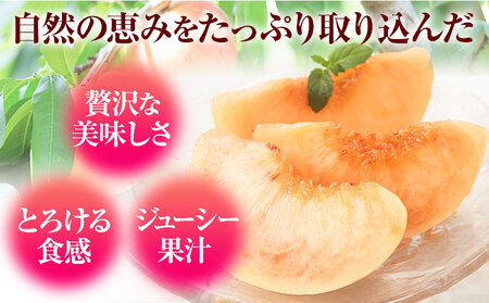 桃 紀の里の桃 約1kg(6月中旬-8月中旬頃出荷)