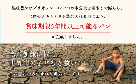 LIFEBREAD 20本 110g サクセム株式会社《30日以内に出荷予定(土日祝除く)》和歌山県 紀の川市 防災備蓄 賞味期限5年以上 ライフブレッド ブレッド