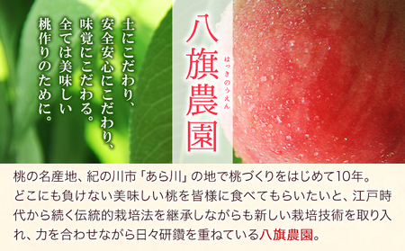 あら川の桃Premium ギフトセット 500ml×2本 八旗農園《30日以内に出荷予定(土日祝除く)》和歌山県 紀の川市 桃山町 もも モモ ジュース 飲料