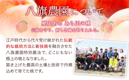 あら川の桃Premium ギフトセット 500ml×2本 八旗農園《30日以内に出荷予定(土日祝除く)》和歌山県 紀の川市 桃山町 もも モモ ジュース 飲料