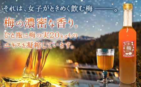 孫さんの紀州南高梅 梅シロップ 500ml×3本 イクス産業《30日以内に出荷予定(土日祝除く)》和歌山県 紀の川市 梅 シロップ