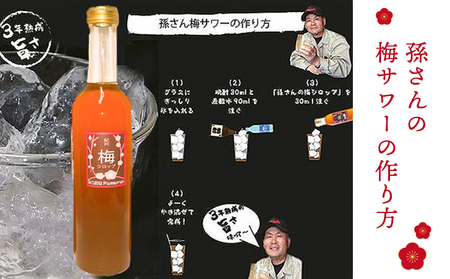 孫さんの紀州南高梅 梅シロップ 500ml×3本 イクス産業《30日以内に出荷予定(土日祝除く)》和歌山県 紀の川市 梅 シロップ