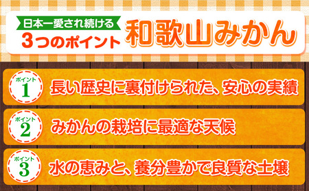 みかん王国和歌山よりお届け！【訳あり/サイズ不選別】 和歌山みかん 選べる 内容量 1.9kg 和歌山県産 先行予約 《2025年11月中旬-1月中旬頃出荷》たっぷり ご家庭用 2L～2S みかん 旬 蜜柑 ミカン 柑橘 果物 フルーツ 和歌山県 紀の川市