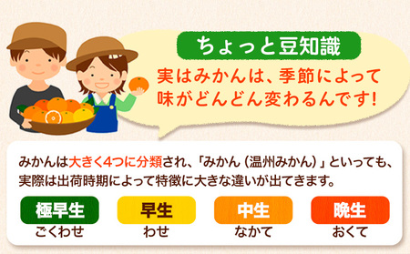 みかん王国和歌山よりお届け！【訳あり/サイズ不選別】 和歌山みかん 選べる 内容量 1.9kg 和歌山県産 先行予約 《2025年11月中旬-1月中旬頃出荷》たっぷり ご家庭用 2L～2S みかん 旬 蜜柑 ミカン 柑橘 果物 フルーツ 和歌山県 紀の川市