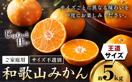 みかん ご家庭用みかん約5kg