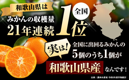 みかん ご家庭用みかん約5kg