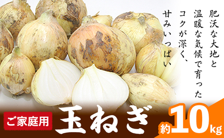 玉ねぎ ご家庭用玉ねぎ 約10kg サンファーム《5月上旬-8月中旬頃より順次出荷》和歌山県 紀の川市