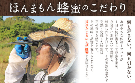 ほんまもん百花蜂蜜 600g×1本 村上養蜂《90日以内に出荷予定(土日祝除く)》和歌山県 紀の川市はちみつ