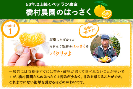 ご家庭用 紀の川はっさく 約10kg(Sサイズ) 橋村農園《2024年12月中旬-2月下旬出荷》和歌山県 紀の川市 八朔