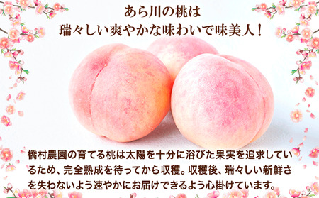 【先行予約】ブランド桃 あら川の桃 大玉3個入り もも 橋村農園《2026年7月上旬‐8月上旬出荷》和歌山県 紀の川市