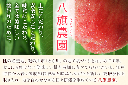 あら川の桃 化粧箱入 約4kg(10-15玉) 秀品 八旗農園《2025年6月下旬-8月上旬頃出荷》和歌山県 紀の川市 桃山町 もも モモ 果物  フルーツ | 和歌山県紀の川市 | ふるさと納税サイト「ふるなび」