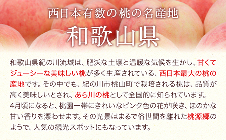 あら川の桃ジュース 「桃とろり」6本入り 八旗農園《30日以内に出荷予定(土日祝除く)》和歌山県 紀の川市 桃山町 もも モモ ジュース 飲料