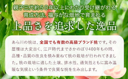 【予約受付】(ご家庭用)あらかわの桃約1.5-2kg(7-8個) 橋村農園《2025年6月下旬～8月中旬頃出荷》