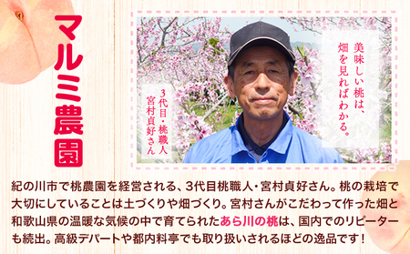 「あら川の桃」 特秀品 3個入 マルミ農園 《2026年6月下旬-8月下旬頃出荷》
