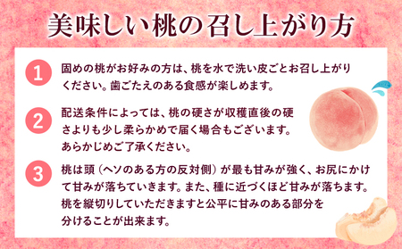 あら川の桃 特秀品 7-8個入 マルミ農園《2026年6月下旬-8月下旬頃出荷》