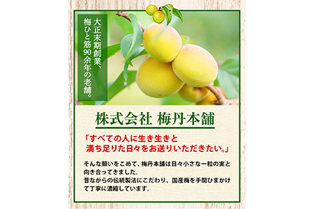 梅肉エキス90g 株式会社梅丹本舗《90日以内に順次出荷(土日祝除く