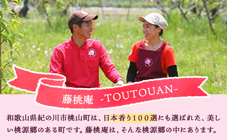 ふるさと納税 和歌山名物 藤桃庵ジェラート 18個入り 株式会社 藤桃庵《90日以内に順次出荷(土日祝除く)》和歌山県 紀の川市 和歌山県紀の川市 藤桃庵ジェラート 6個入 藤桃庵 《90日以内に出荷予定(土日祝除く