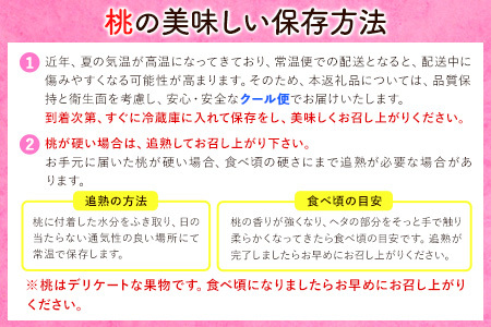 桃 もも 秀選品和歌山のブランド桃「あら川の桃」約2kg 5～8玉 紀の川市厳選館《6月下旬-8月上頃出荷》｜桃 もも モモ フルーツ 果物 白鳳 清水白桃 川中島白桃  和歌山県産の桃 紀の川市の桃 和歌山の桃