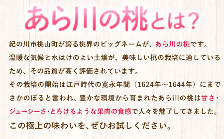 【先行予約 】和歌山県産 あら川の桃 秀品 約2kg [M～2Lサイズ(5玉～8玉)] 前商店《6月末-7月中旬頃出荷》和歌山県 紀の川市 もも モモ 果物 フルーツ