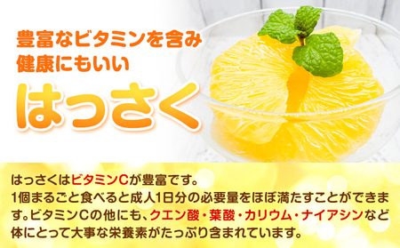紀の川市はっさく まーくん家の八朔 5kg きただ農園まーくん家《2月上旬-3月末頃出荷》和歌山県 紀の川市 柑橘 はっさく 化学肥料・除草剤不使用