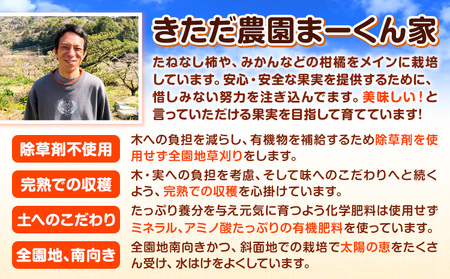 まーくん家の八朔 9kg きただ農園まーくん家《2026年2月上旬-3月末頃出荷》和歌山県 紀の川市 柑橘 はっさく 化学肥料・除草剤不使用
