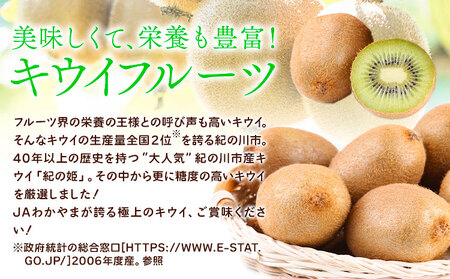 キウイフルーツ キウイ【先行予約】紀の姫キウイフルーツ約3.6kg（20～27玉入）JAわかやま 紀の里地域本部 《2026年1月上旬-2月末頃出荷》和歌山県 紀の川市
