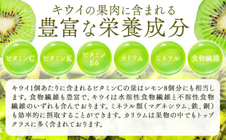 キウイフルーツ キウイ【先行予約】紀の姫キウイフルーツ約3.6kg（20～27玉入）JAわかやま 紀の里地域本部 《2026年1月上旬-2月末頃出荷》和歌山県 紀の川市