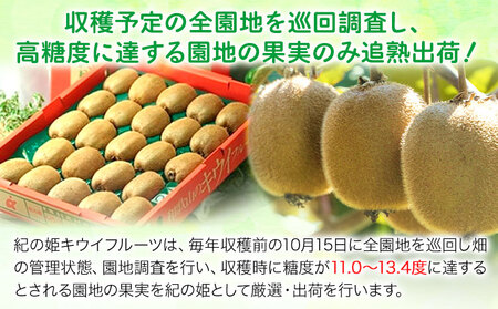 キウイフルーツ キウイ【先行予約】紀の姫キウイフルーツ約3.6kg（20～27玉入）JAわかやま 紀の里地域本部 《2026年1月上旬-2月末頃出荷》和歌山県 紀の川市