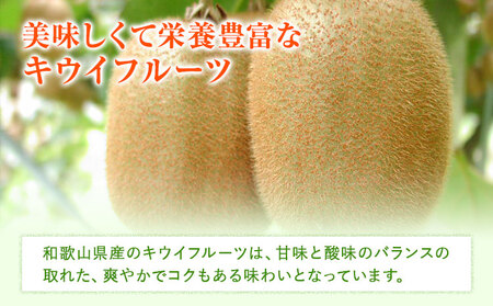 キウイフルーツ(和歌山県産)普通サイズ10kg ニュージーランド産 ゼスプリ・グリーンキウイ 「ジャンボサイズ
